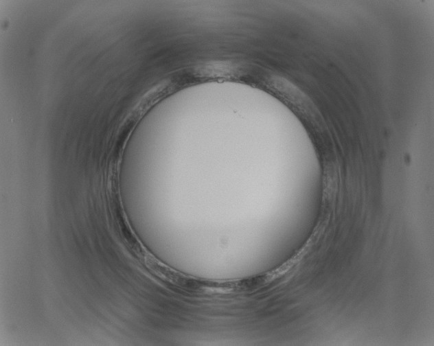 X0000062620167200512210921
