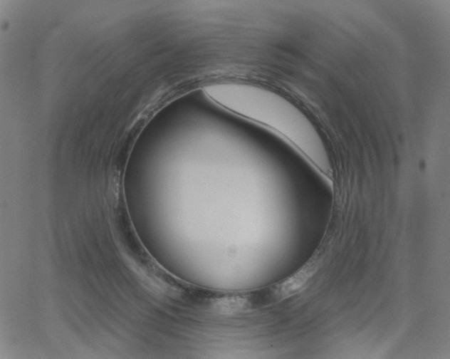 X0000062620168200512210921