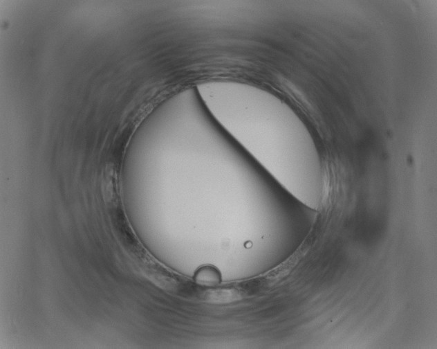 X0000062620169200512210921