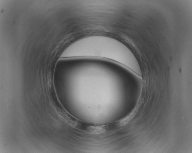 X0000062620170200512210921
