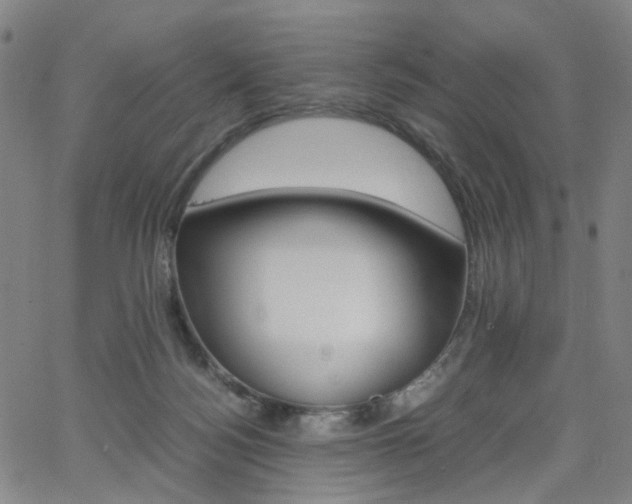 X0000062620172200512210921