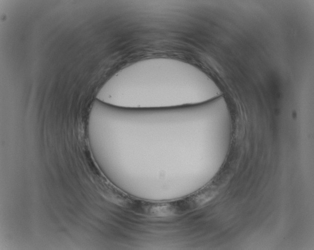 X0000062620173200512210921