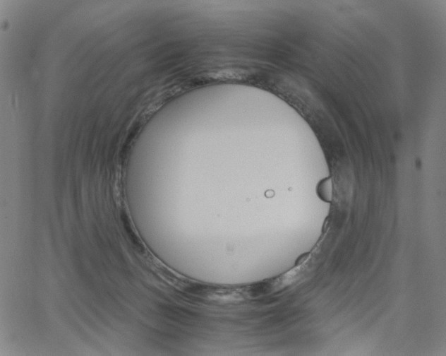 X0000062620175200512210921