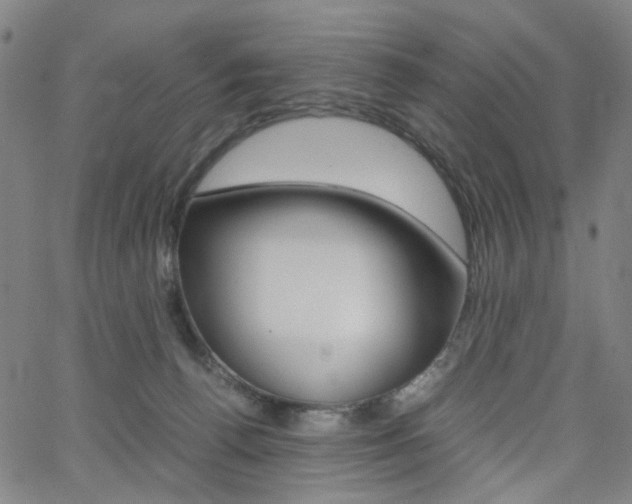 X0000062620176200512210921