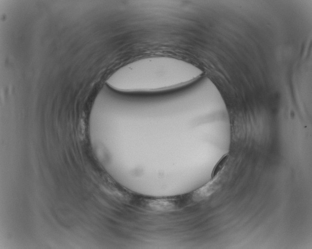 X0000062620183200512210922