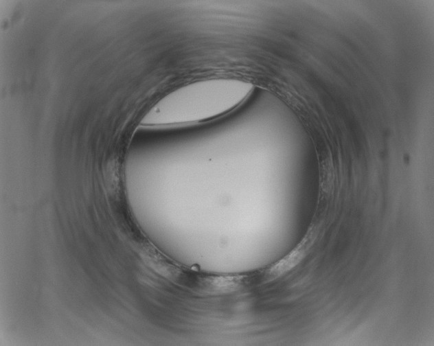 X0000062620184200512210922