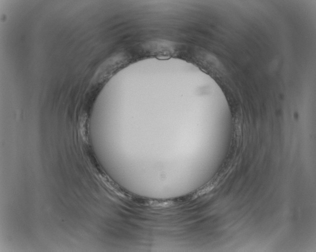 X0000062620185200512210922
