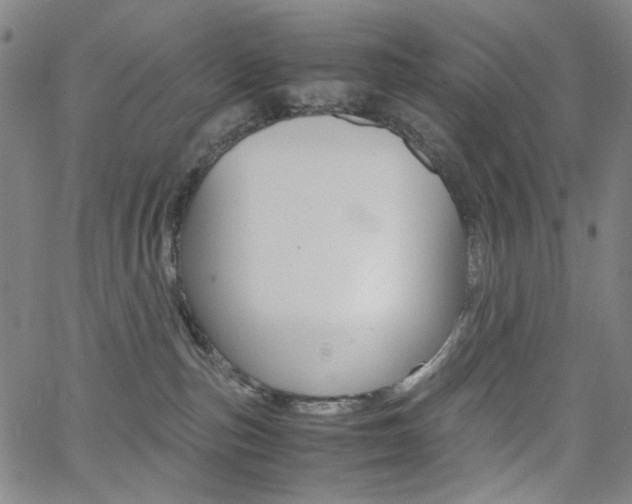 X0000062620187200512210922