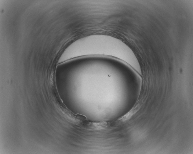 X0000062620188200512210922