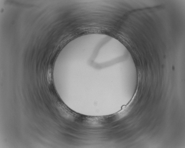 X0000062620190200512210922