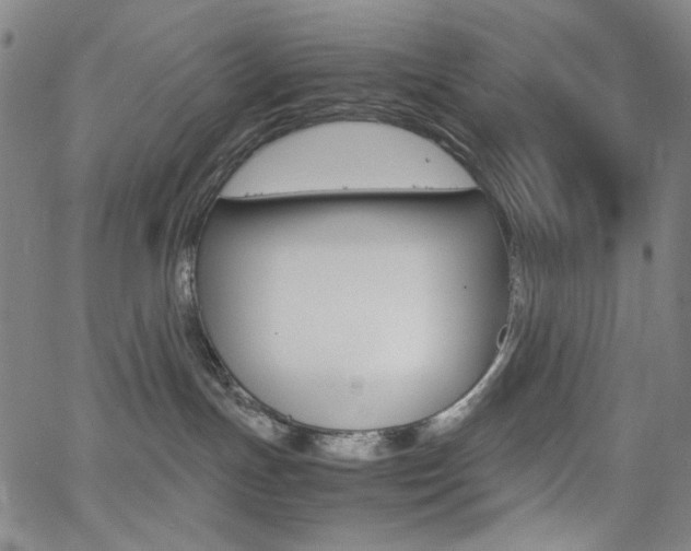 X0000062620191200512210922