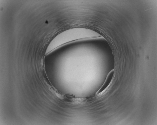 X0000062620192200512210922