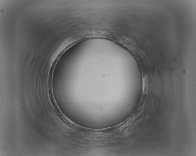 X0000062620195200512210921