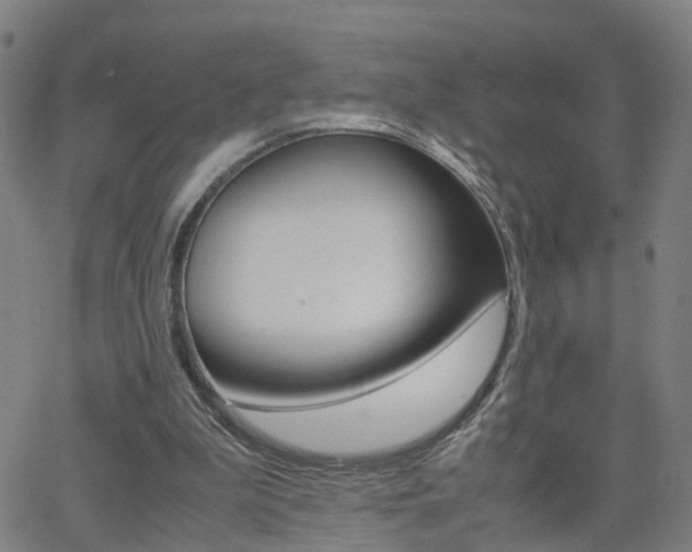 X0000062620199200512210921