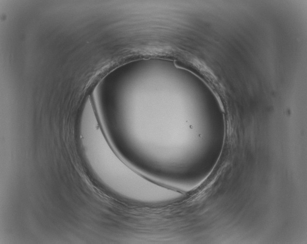 X0000062620201200512210921