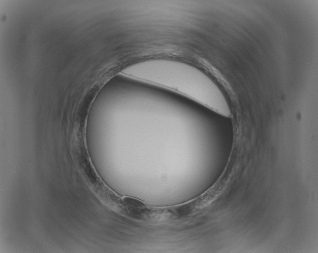 X0000062620209200512210921