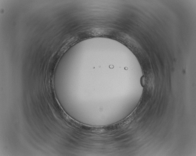X0000062620214200512210920