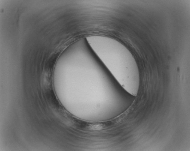 X0000062620218200512210920