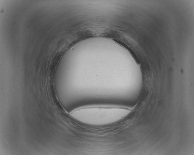 X0000062620221200512210920