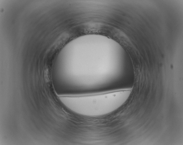 X0000062620224200512210920