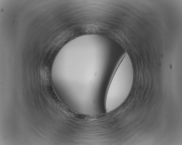 X0000062620228200512210920
