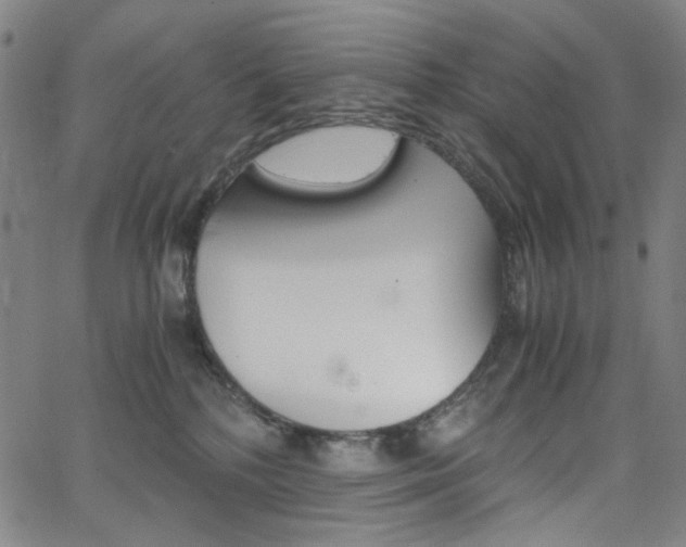 X0000062620232200512210920
