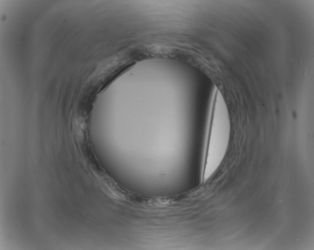 X0000062620235200512210920