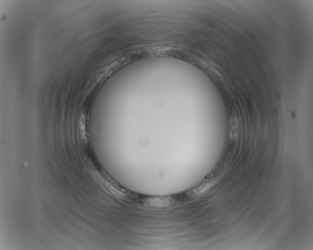 X0000062620238200512210920