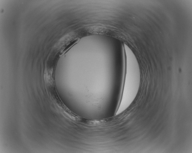 X0000062620239200512210920