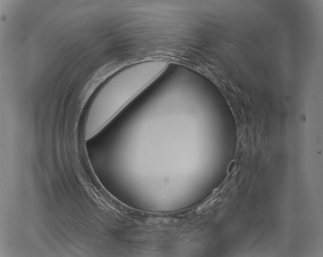 X0000062620242200512210919