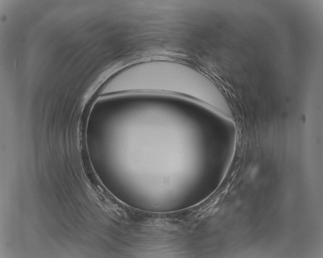 X0000062620244200512210919