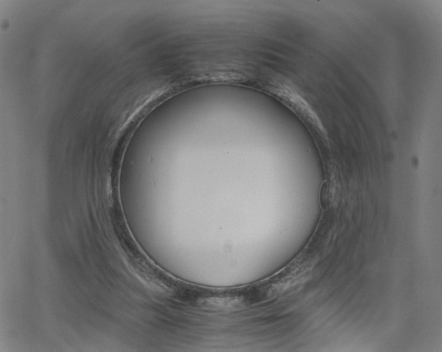 X0000062620251200512210919