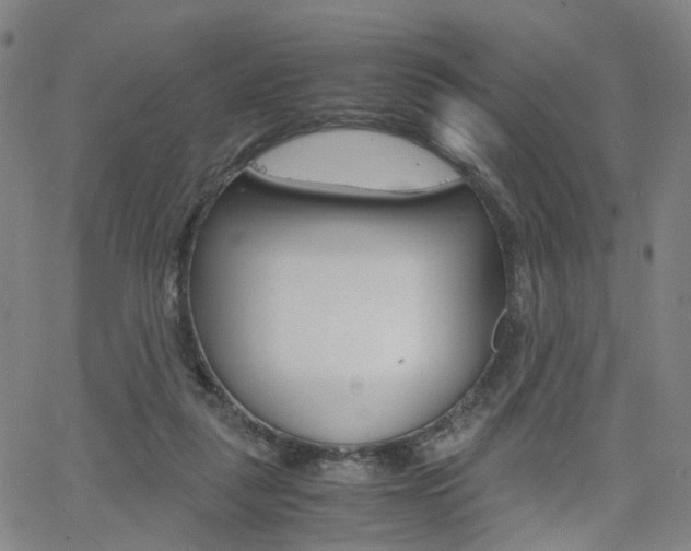 X0000062620259200512210920