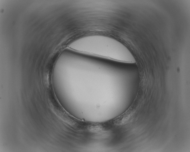 X0000062620262200512210920