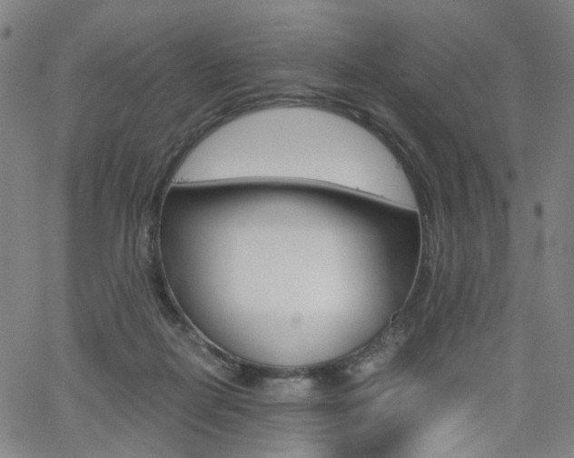 X0000062620266200512210920