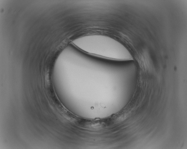 X0000062620267200512210920