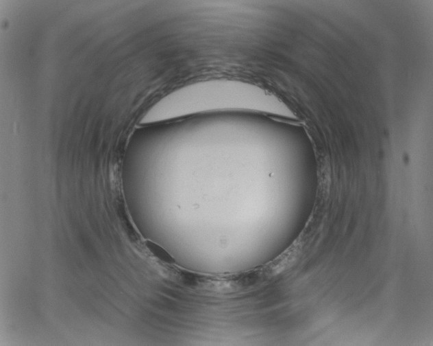 X0000062620276200512210920