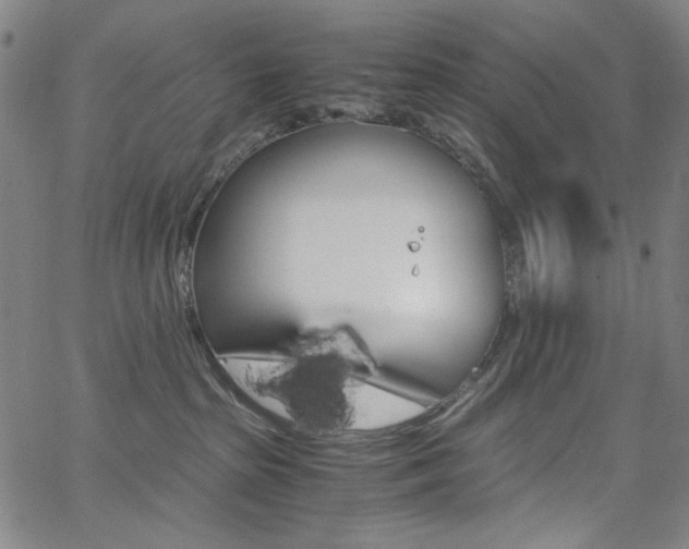 X0000062620285200512210920