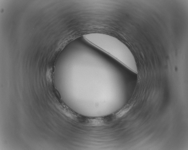 X0000062620286200512210920