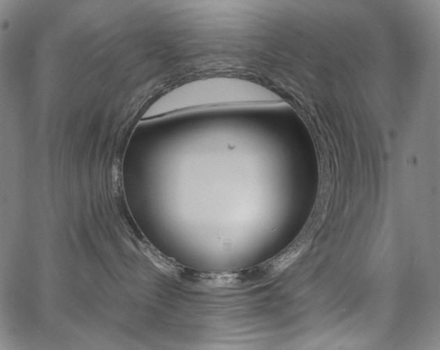 X0000062620288200512210920