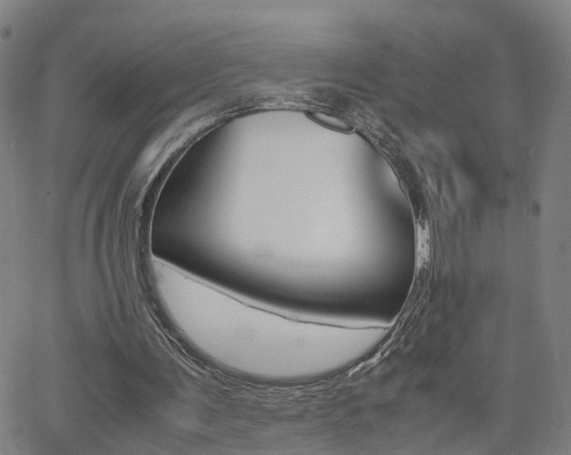 X0000062620291200512210919