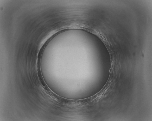 X0000062620292200512210919