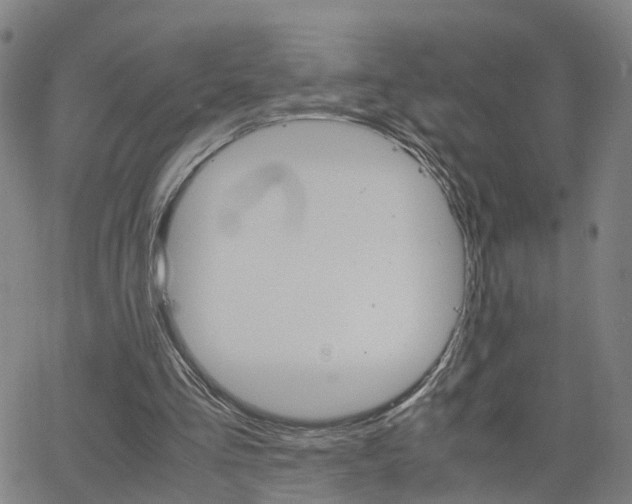 X0000062620293200512210919