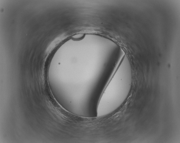 X0000062620296200512210919