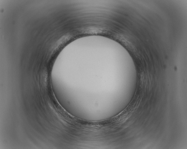 X0000062620304200512210919