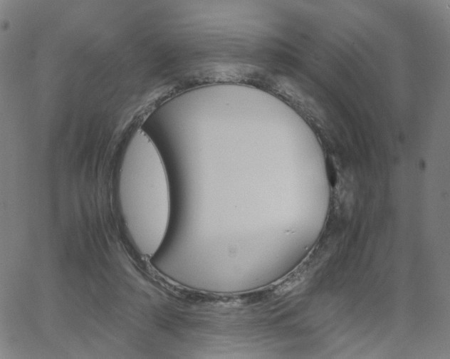 X0000062620306200512210919