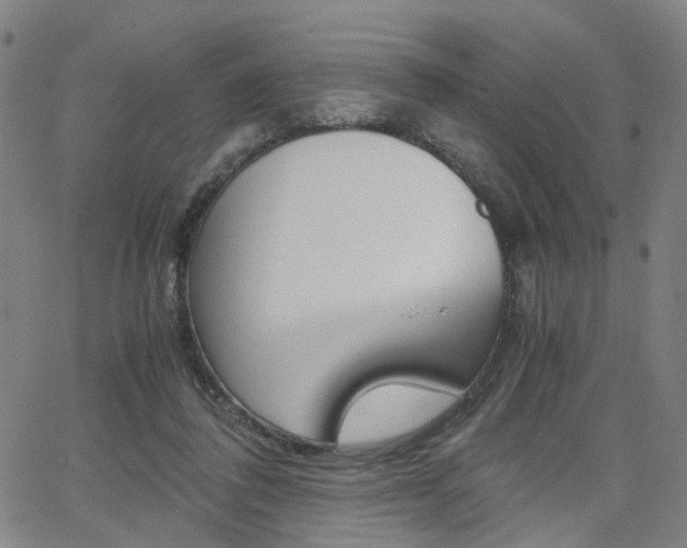 X0000062620308200512210919
