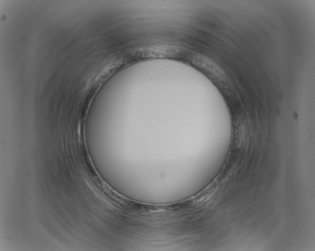 X0000062620310200512210919