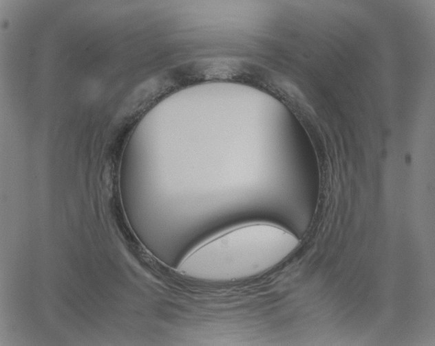 X0000062620311200512210919