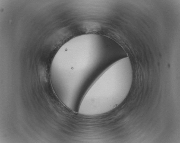X0000062620316200512210919